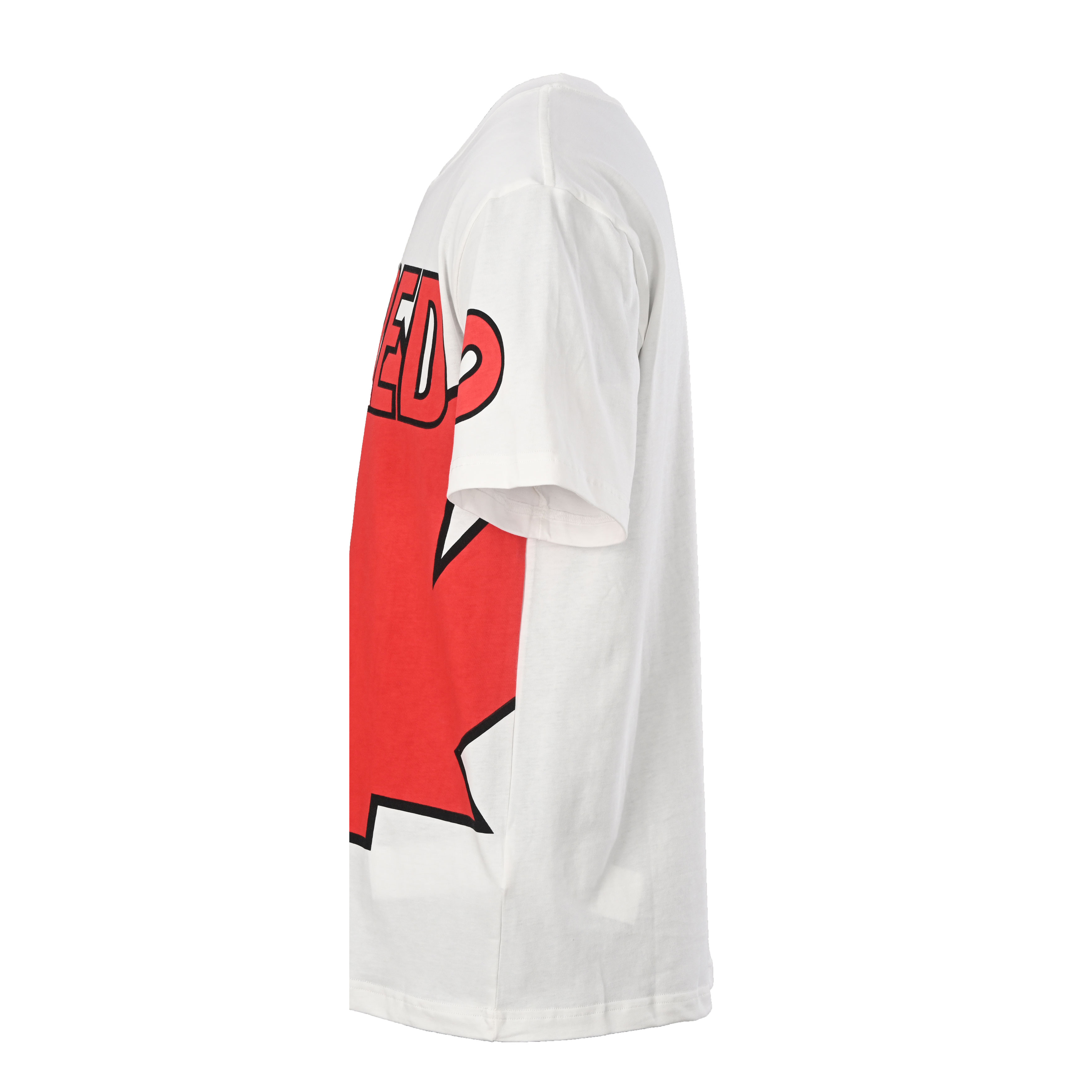 DSQUARED2 Maple Leaf Big Logo Short-Sleeve T-Shirt